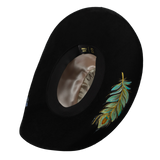 peacock feather dance